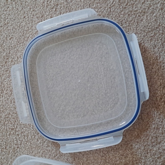 Lock & Lock Divided Plate Container - Picture 4 of 4